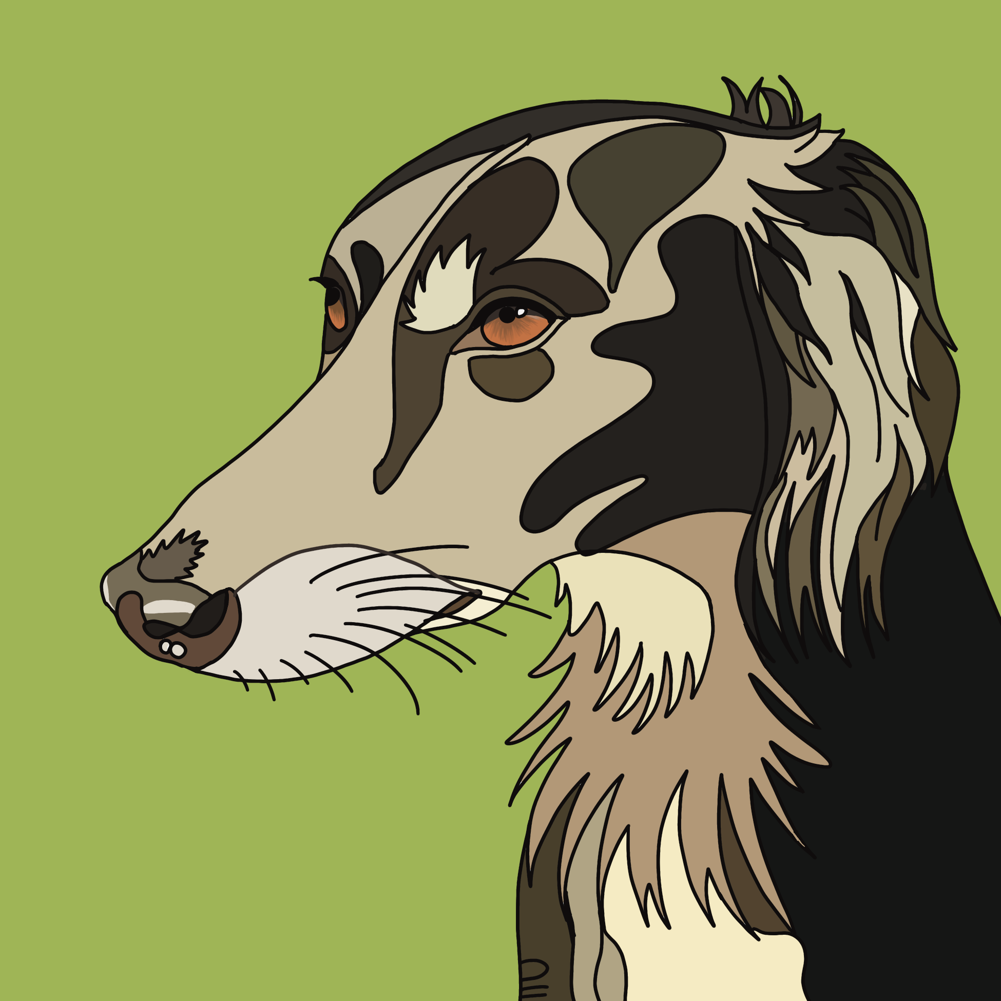 Jack the Saluki Cross Lurcher Digital Dog Portrait