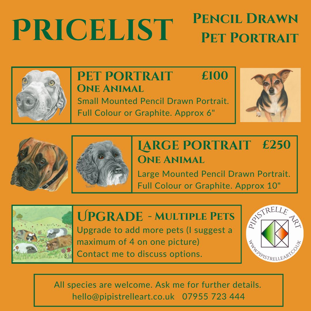 Price list for Pencil Drawn Pet Portraits